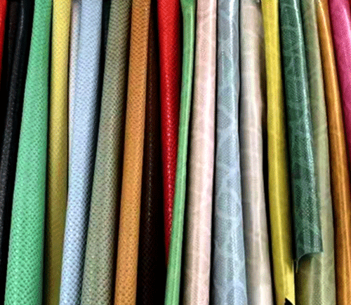 山羊皮革和绵羊皮革的鉴别方法